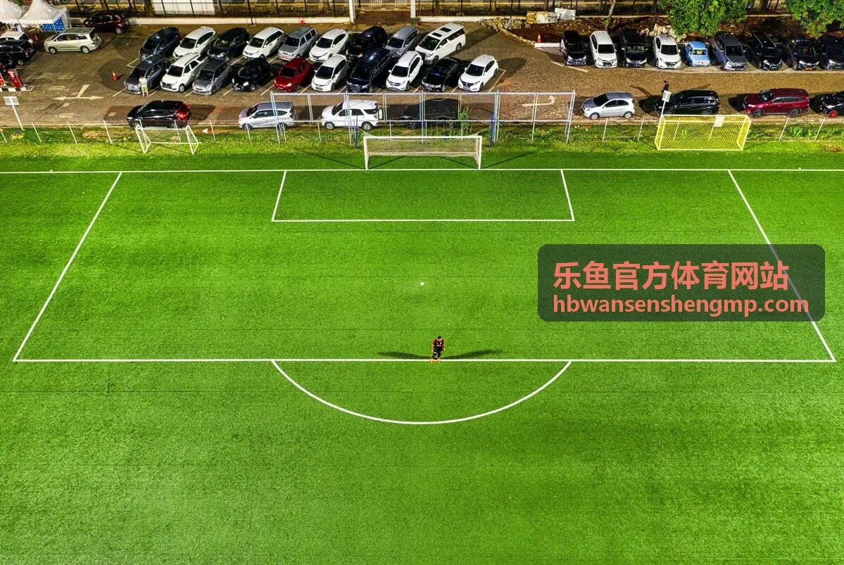 乐鱼官方体育网站观赛看台与席位分区